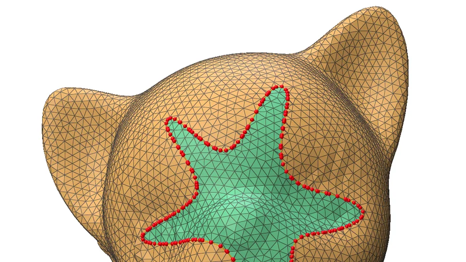 A star-shaped surface region bounded by curves on a triangulated model in Selay Tekgül's MSc research application.