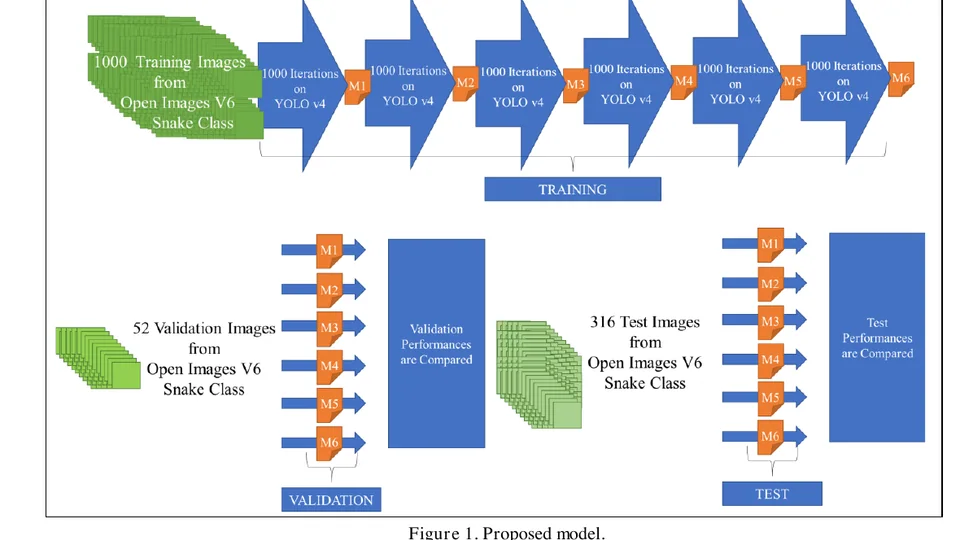Workflow diagram for training, validation, and testing in Selay Tekgül's snake detection and blurring publication.